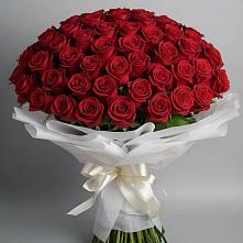 Букет 101 Красная роза Блэк Мэджик в Зеленоборском
