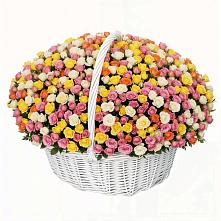 Премиум букет из: Розы в Зеленоборском