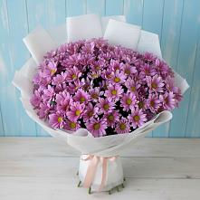 Букет цветов из:  Хризантемы в Зеленоборском