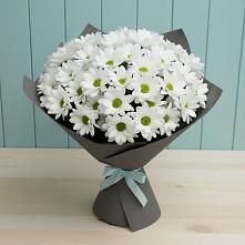 Букет цветов из:  Хризантемы в Зеленоборском