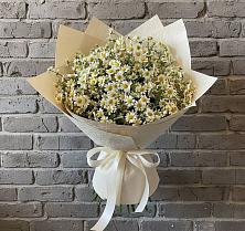 Букет цветов из:  Ромашки в Зеленоборском