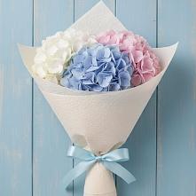 Букет цветов из:  Гортензия в Зеленоборском