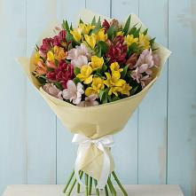 Букет цветов из:  Альстромерии в Зеленоборском