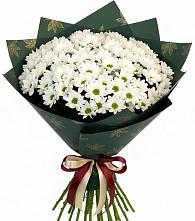 Букет цветов из:  Хризантемы #REPLACE_PRED# Зеленоборском