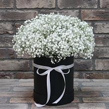 Цветочная композиция из Гипсофила в шляпной коробке в Зеленоборском