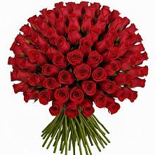 Букет Красные розы Чери Лав #REPLACE_PRED# Зеленоборском