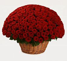 Премиум букет из: Розы #REPLACE_PRED# Зеленоборском