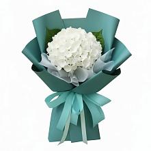 Букет цветов из:  Гортензия в Зеленоборском